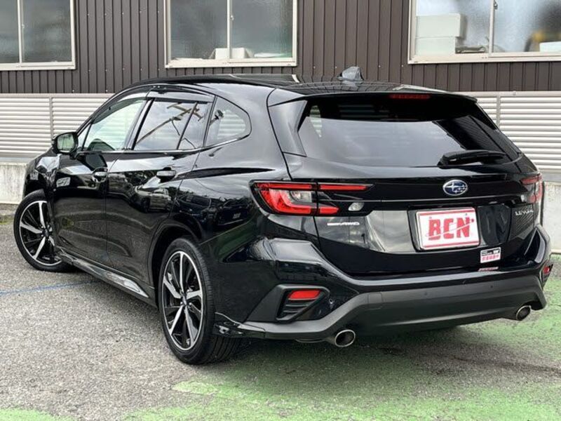 LEVORG