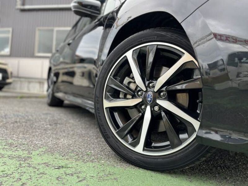 LEVORG