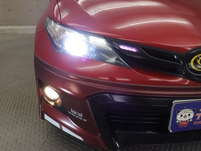 AURIS
