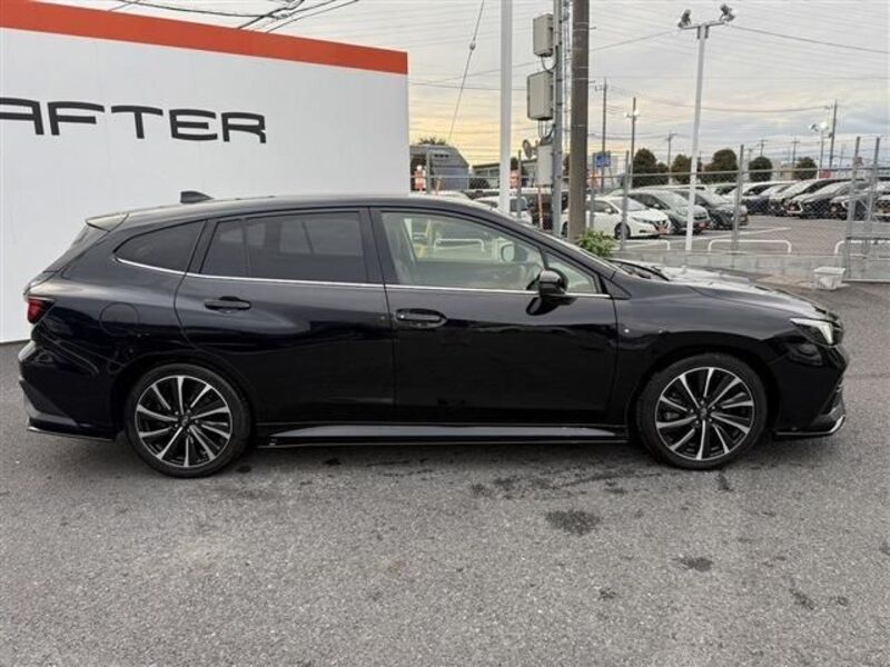 LEVORG