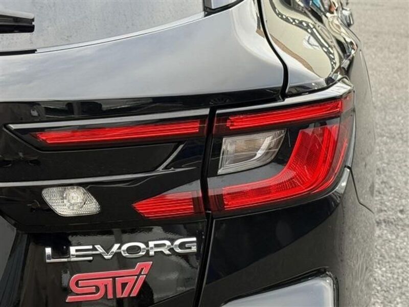 LEVORG