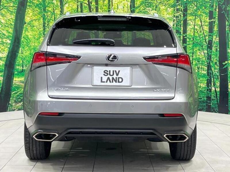 NX