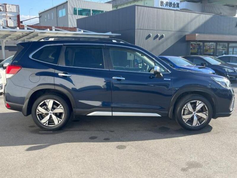 FORESTER