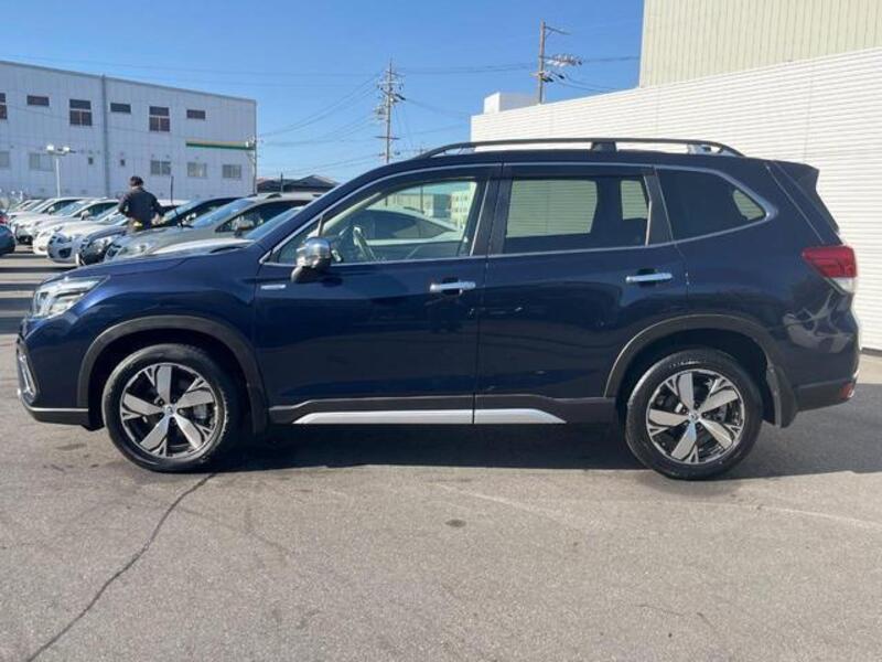 FORESTER