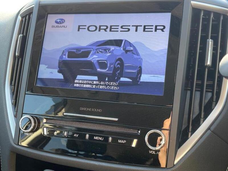 FORESTER