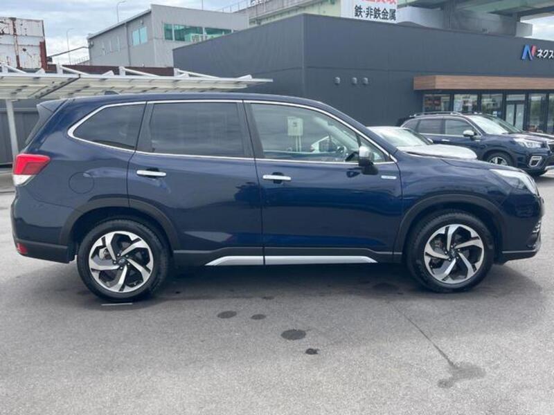 FORESTER