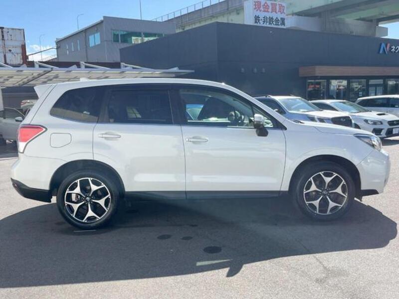 FORESTER