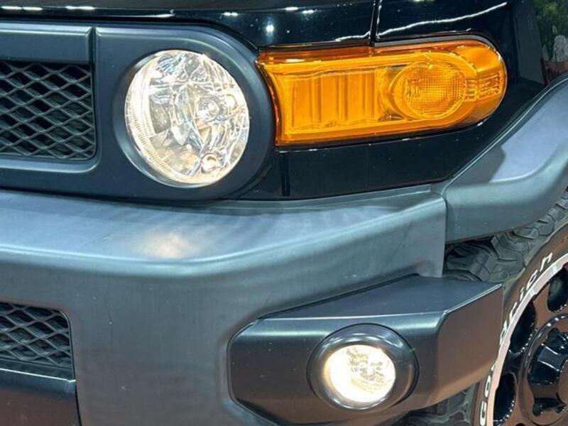 FJ CRUISER