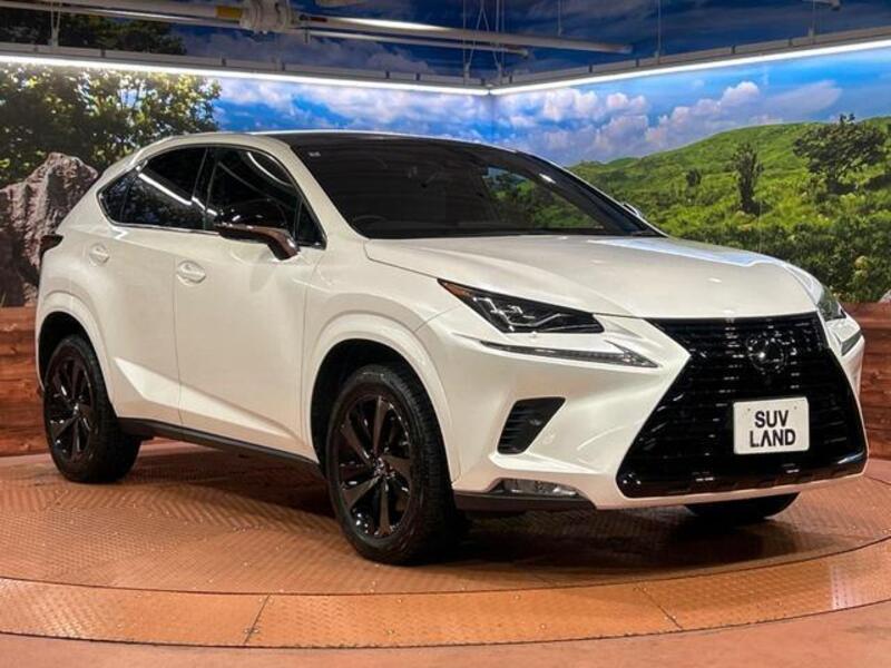 NX