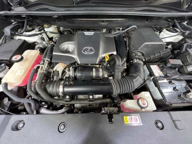 NX