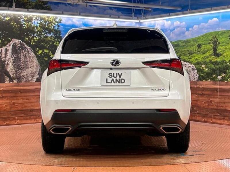 NX