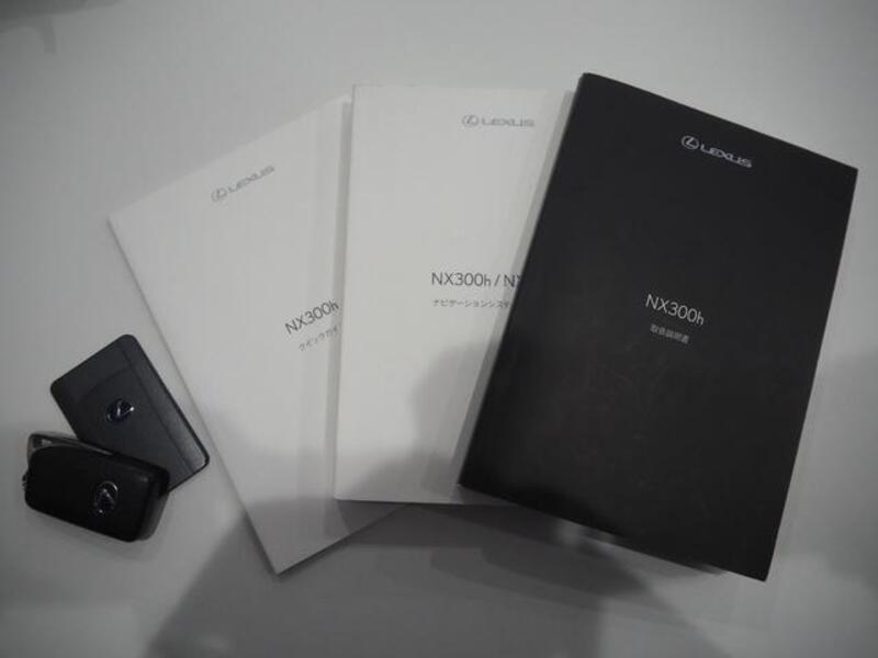 NX