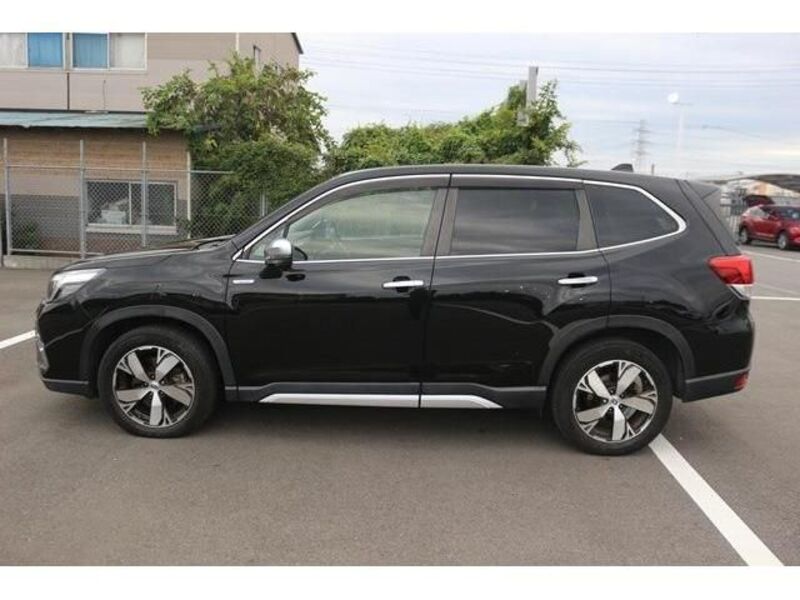 FORESTER