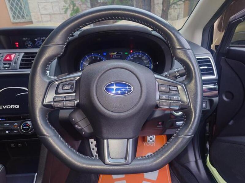 LEVORG