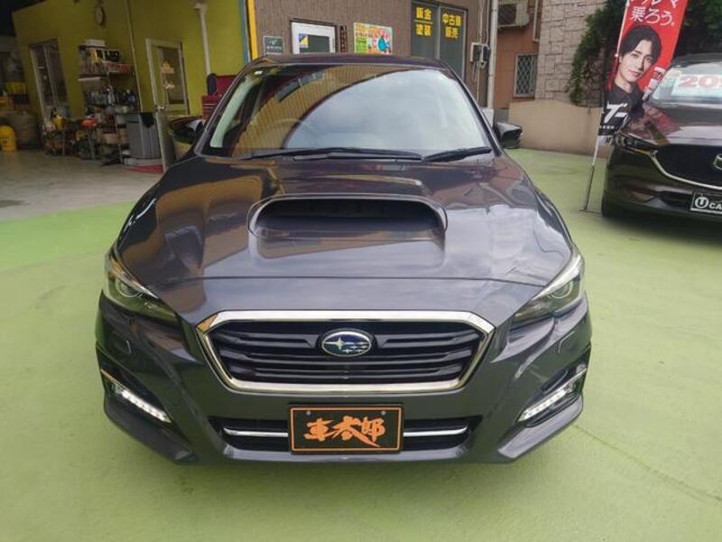 LEVORG