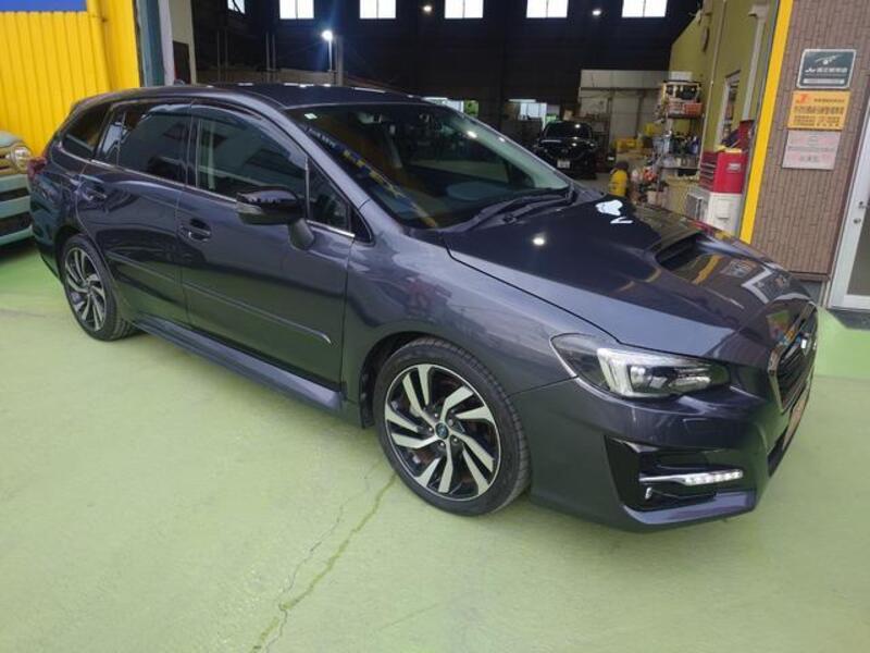 LEVORG