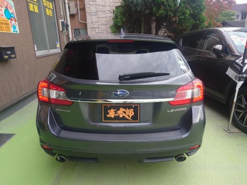 LEVORG