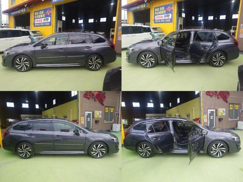 LEVORG