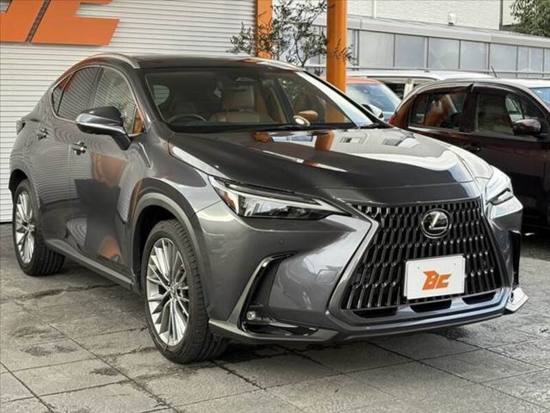NX