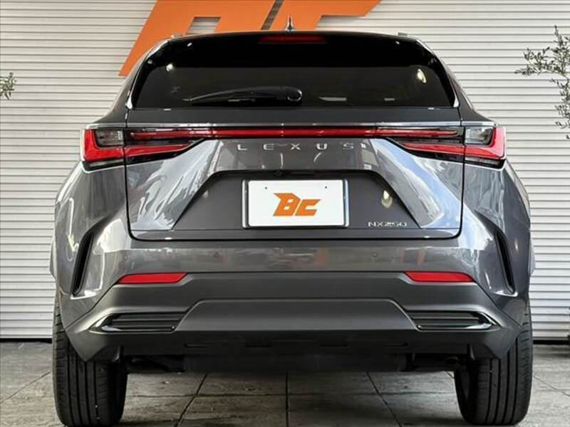 NX