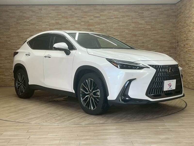 NX