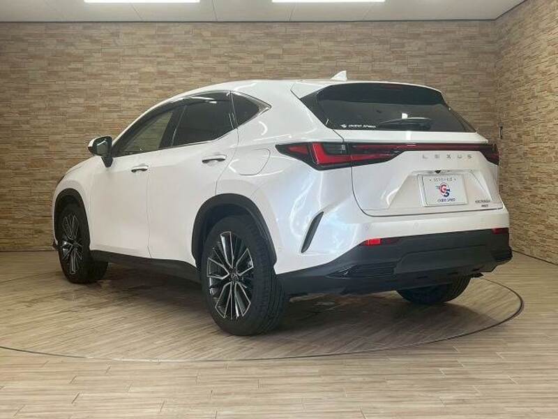 NX