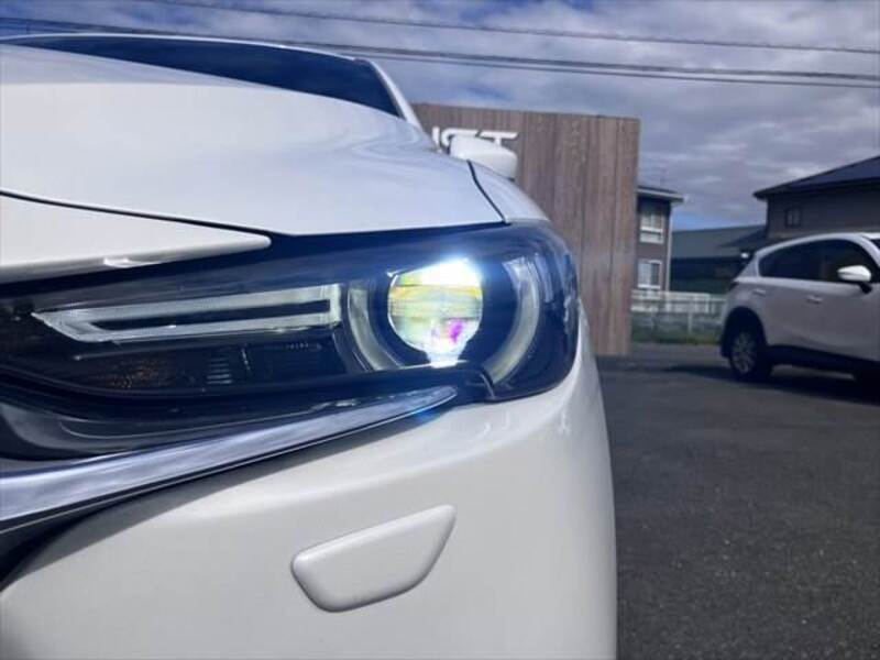 CX-8