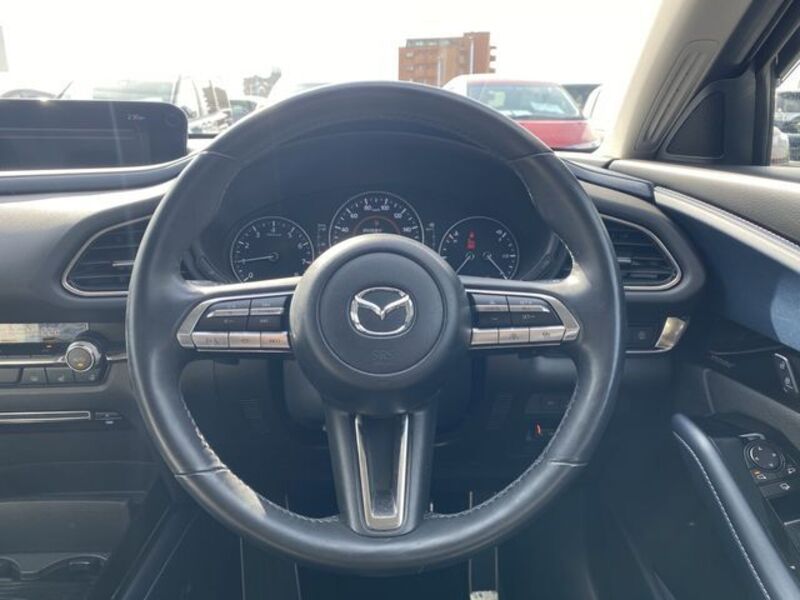CX-30