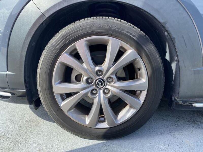 CX-30