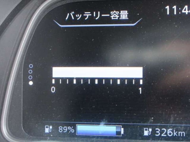 LEAF