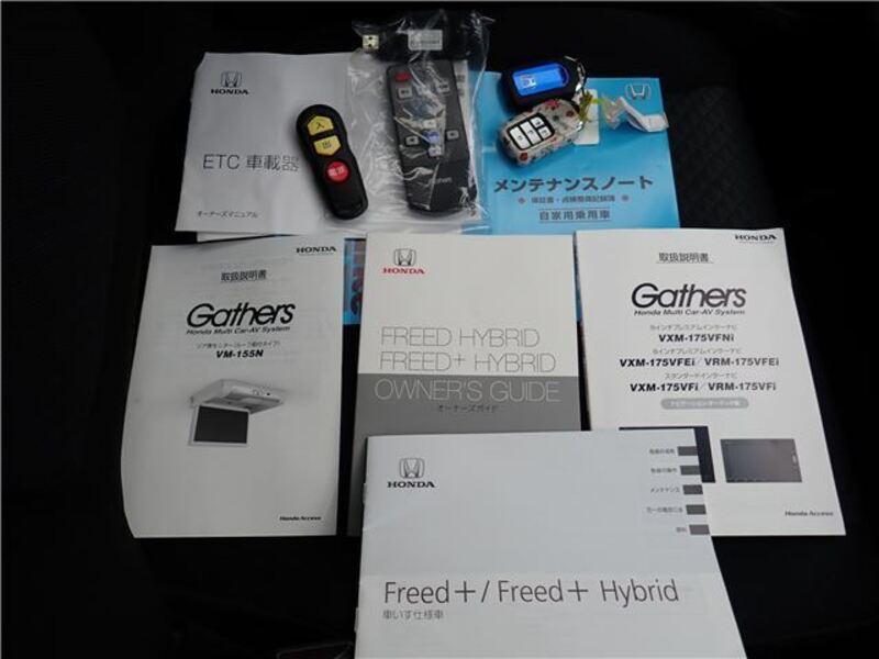FREED+