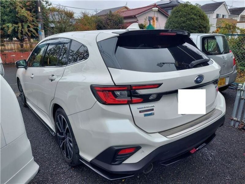 LEVORG