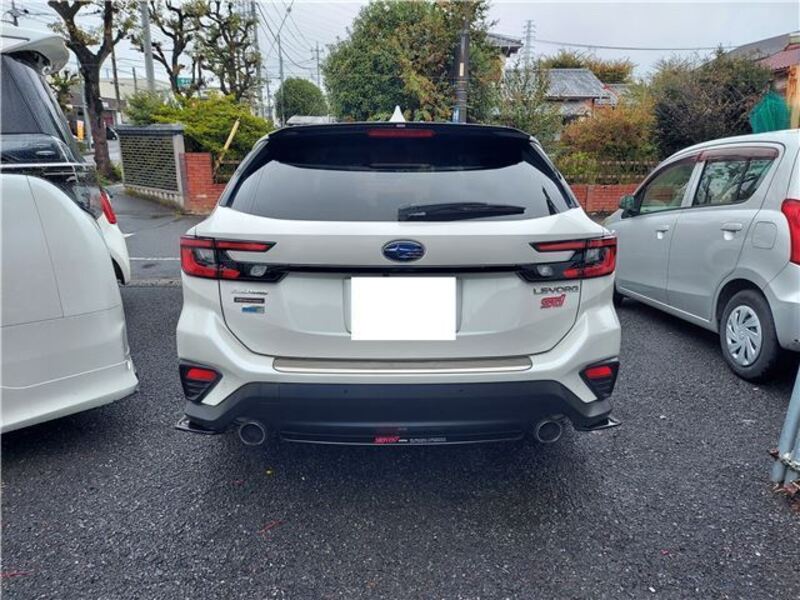 LEVORG