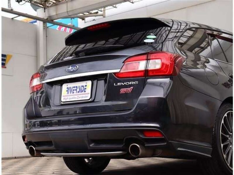 LEVORG
