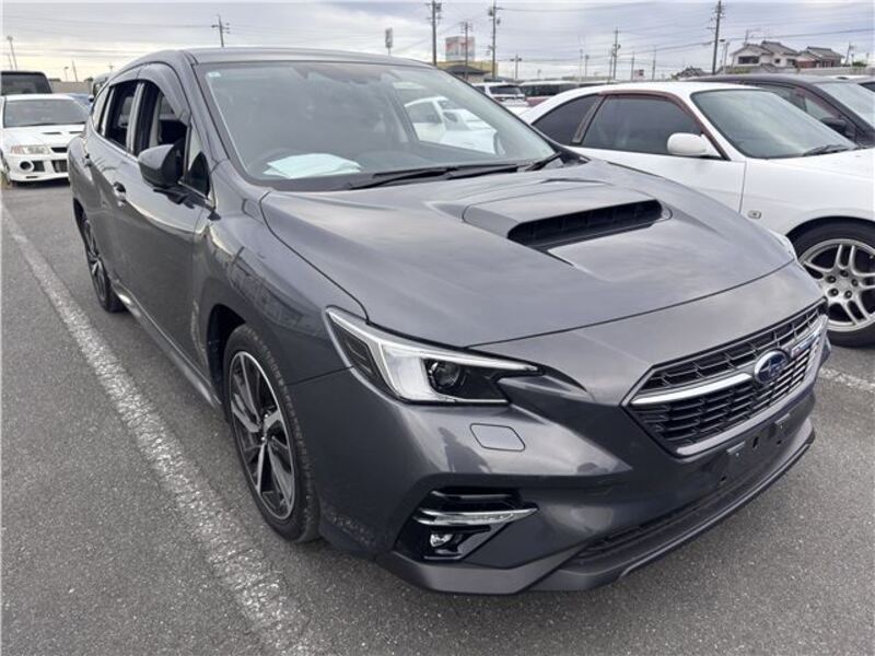 LEVORG-0