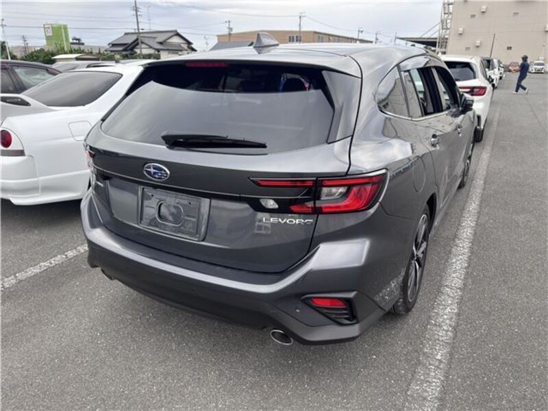 LEVORG