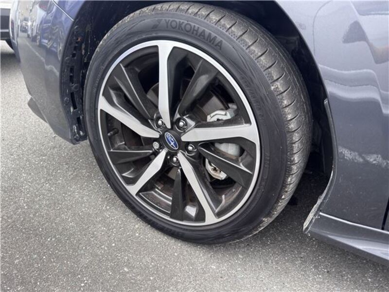 LEVORG