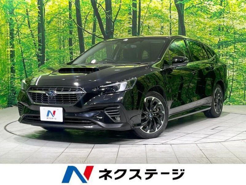 LEVORG-0