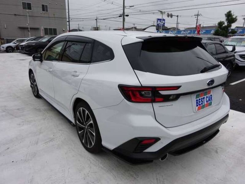 LEVORG
