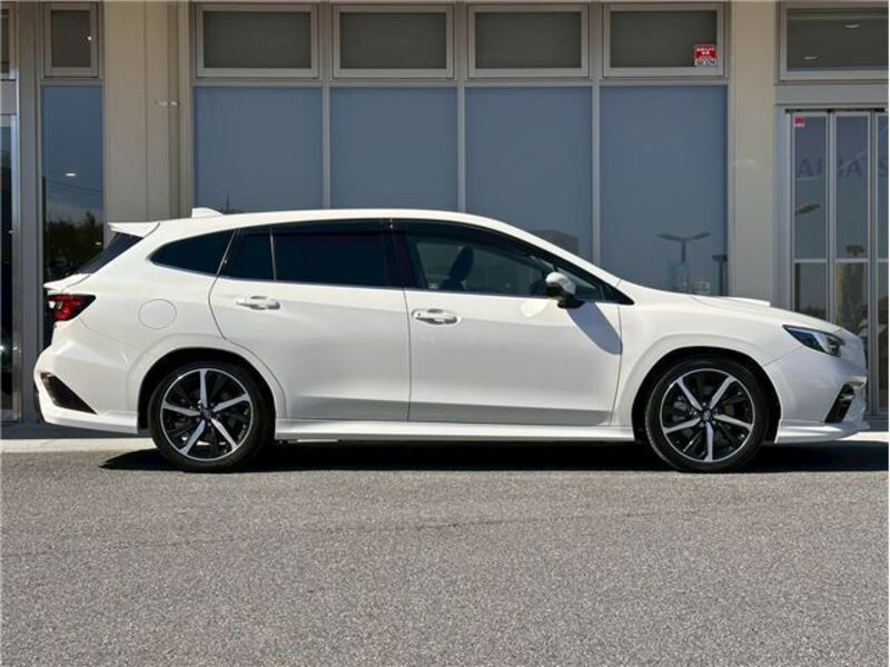 LEVORG