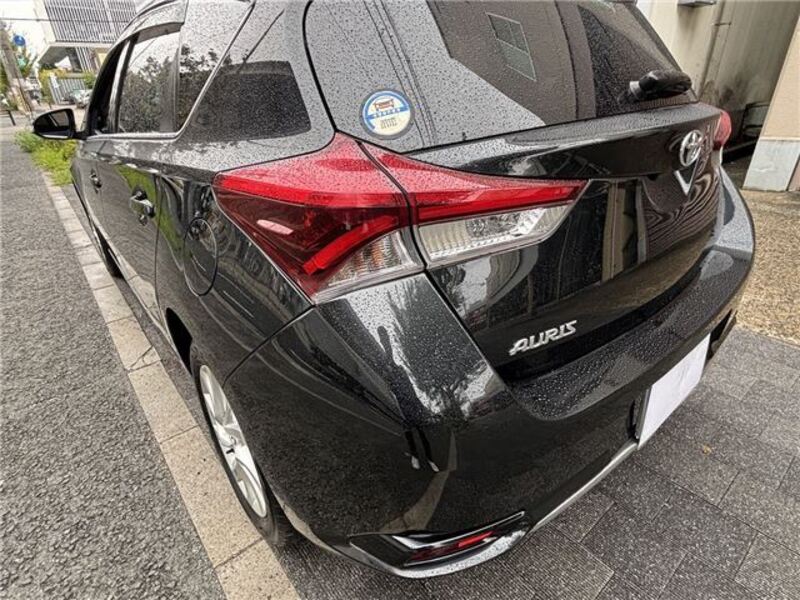 AURIS