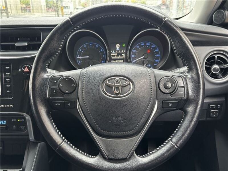AURIS