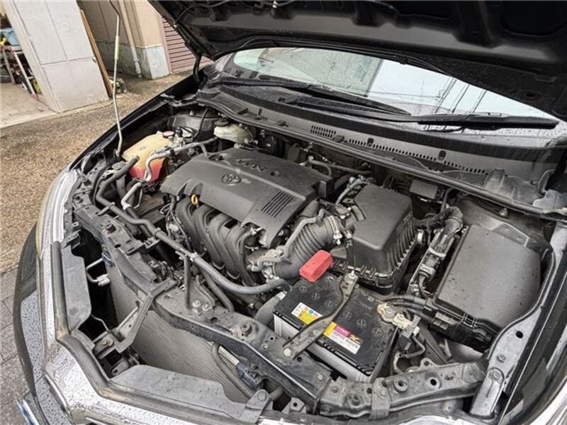 AURIS
