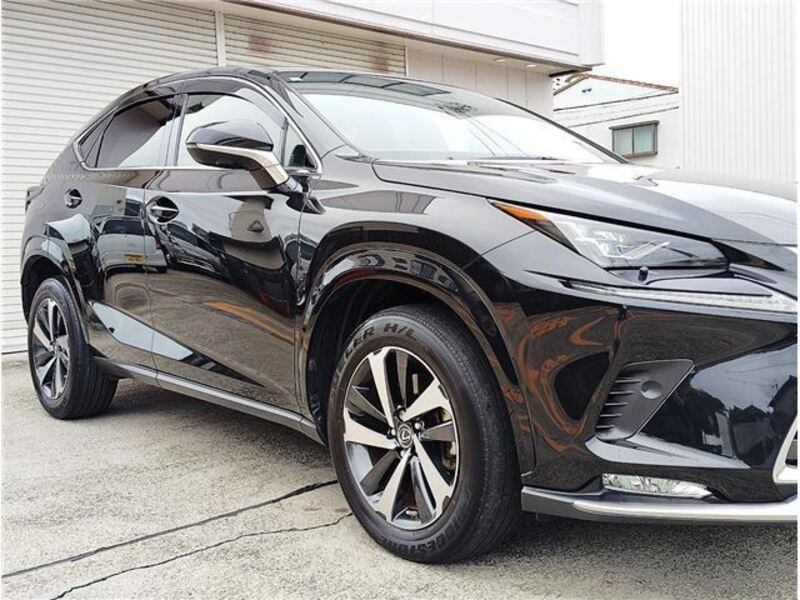 NX