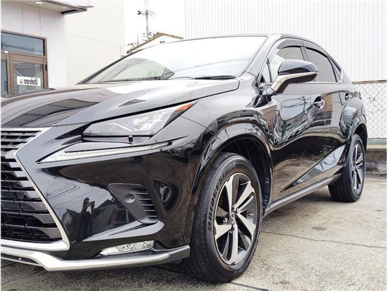 NX