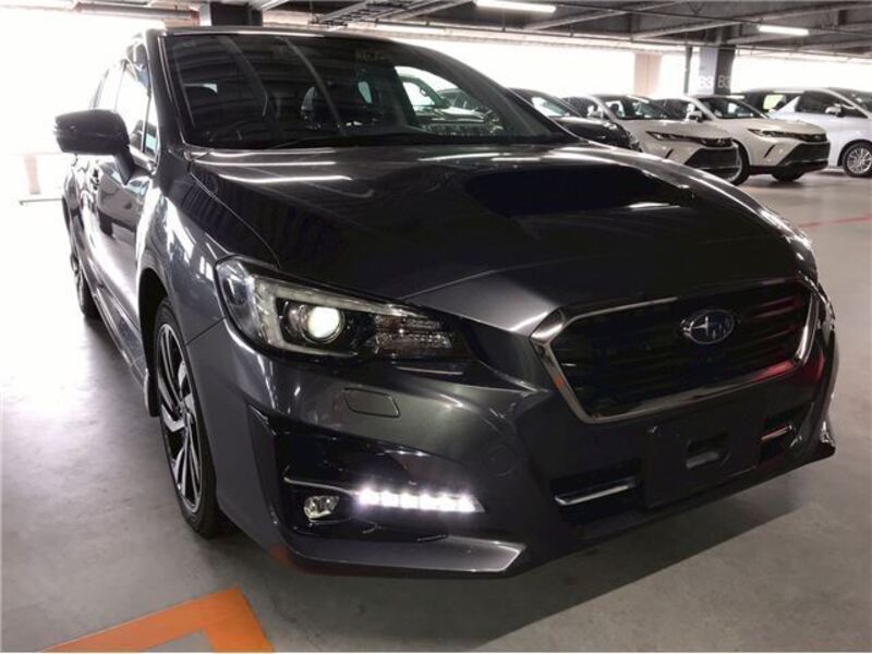 LEVORG-0