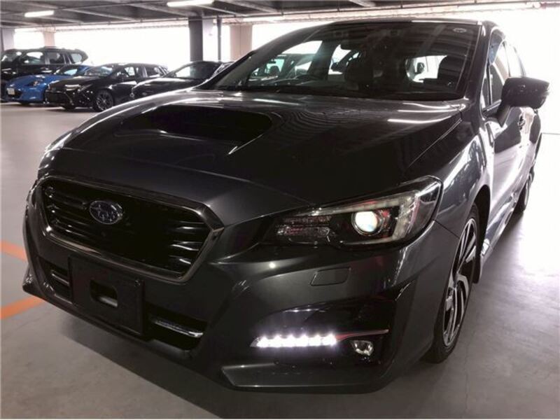 LEVORG