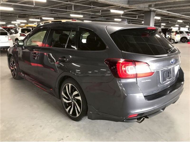 LEVORG