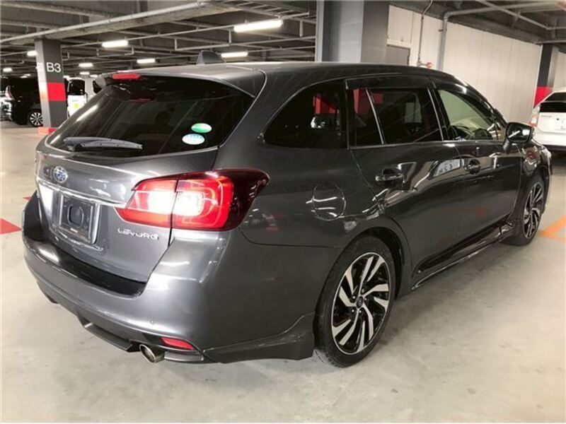LEVORG