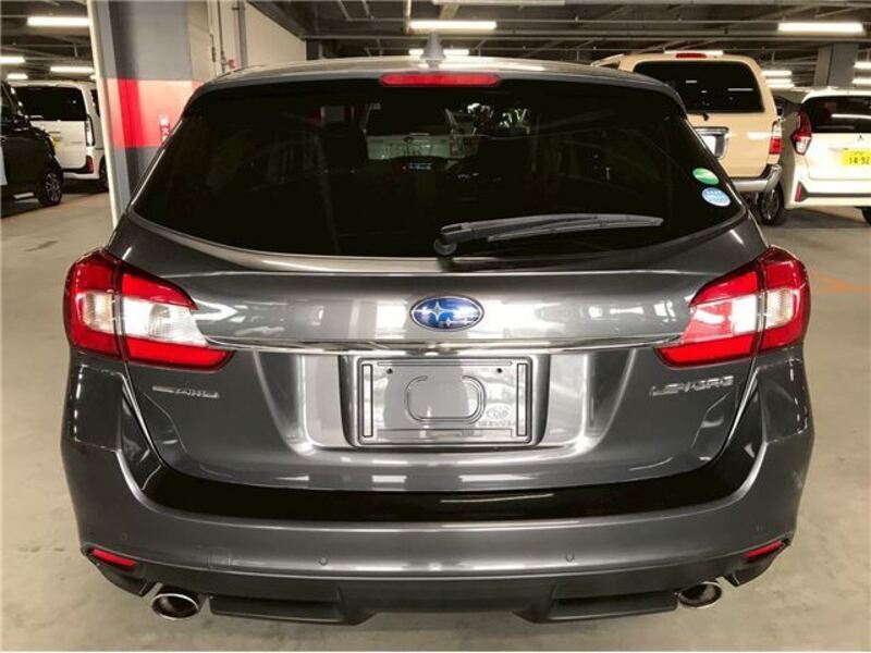 LEVORG